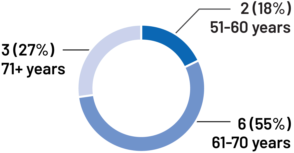 piechart_age_of_director.jpg